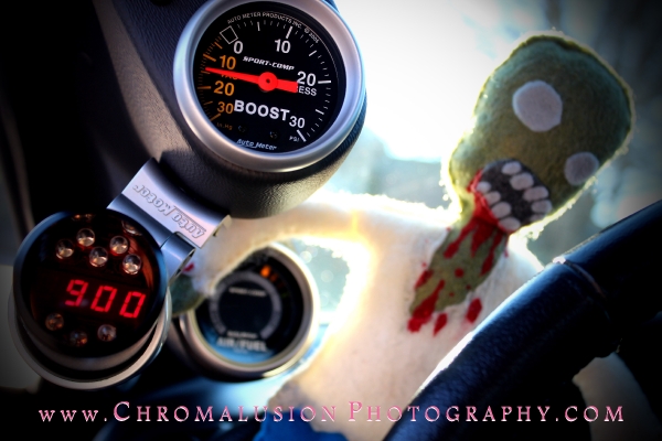 Stephanis 2003 Mustang DSG GT_4