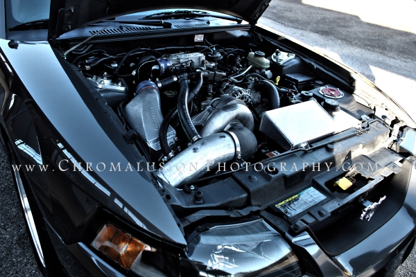 Stephanis 2003 Mustang DSG GT_12