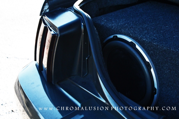 Stephanis 2003 Mustang DSG GT_14