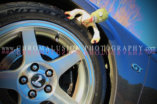 Stephanis 2003 Mustang DSG GT_1