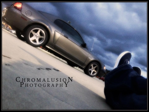 Stephanis 2003 Mustang DSG GT_2