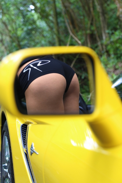 Ann Janette with a C7 Corvette Stingray_1