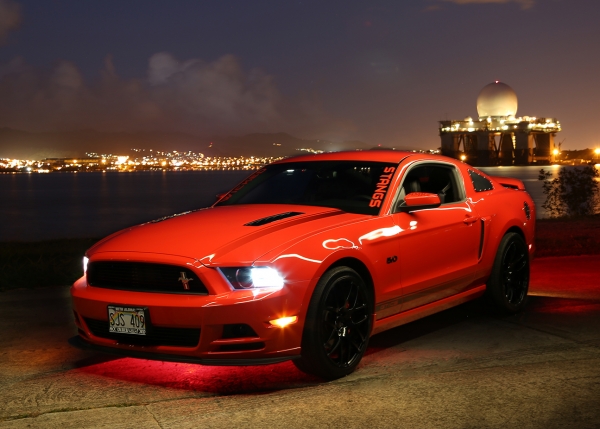 Ann Janette with a Mustang_1