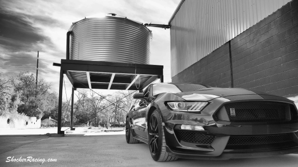 Skylar Baggett for ShockerRacing Girls_3