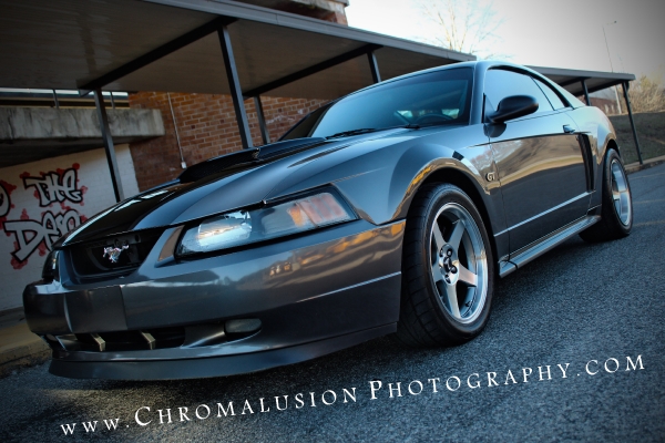 Stephani's 2003 Mustang DSG GT