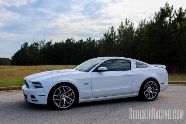 Taylor Ethridge(@MustangBeauty_5.0) with her 2014 Mustang 5.0_2