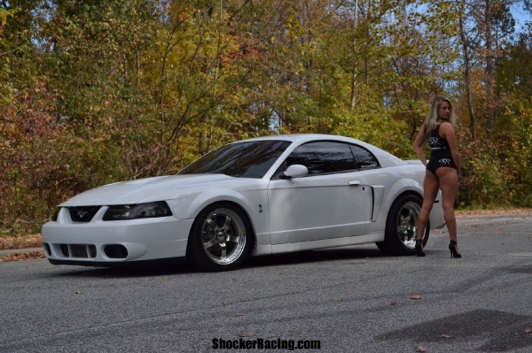 Bianca Thomas for ShockerRacingGirls with a Terminator Cobra